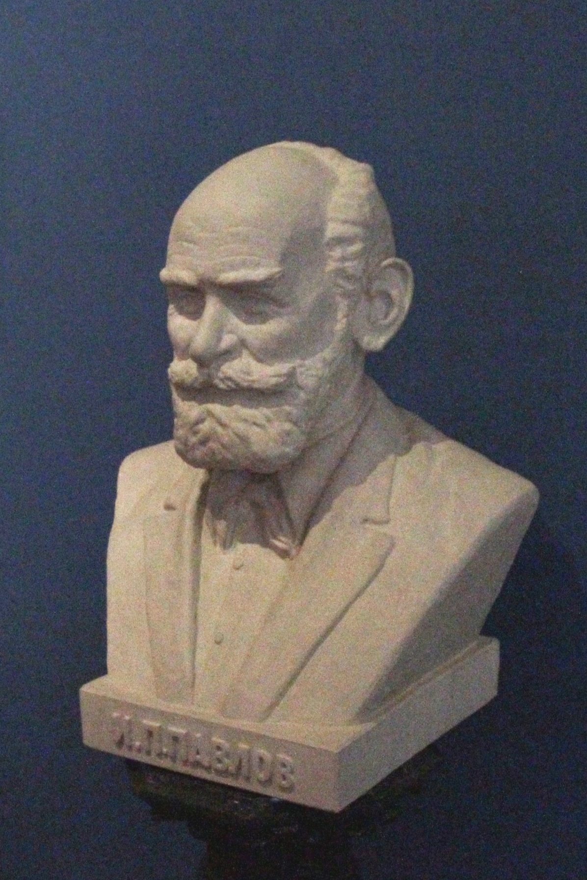 Ivan%20Pavlov%27s%20bust%2C%20Paul%20Stradins%20Museum%2C%20Riga%20-%2003.JPG